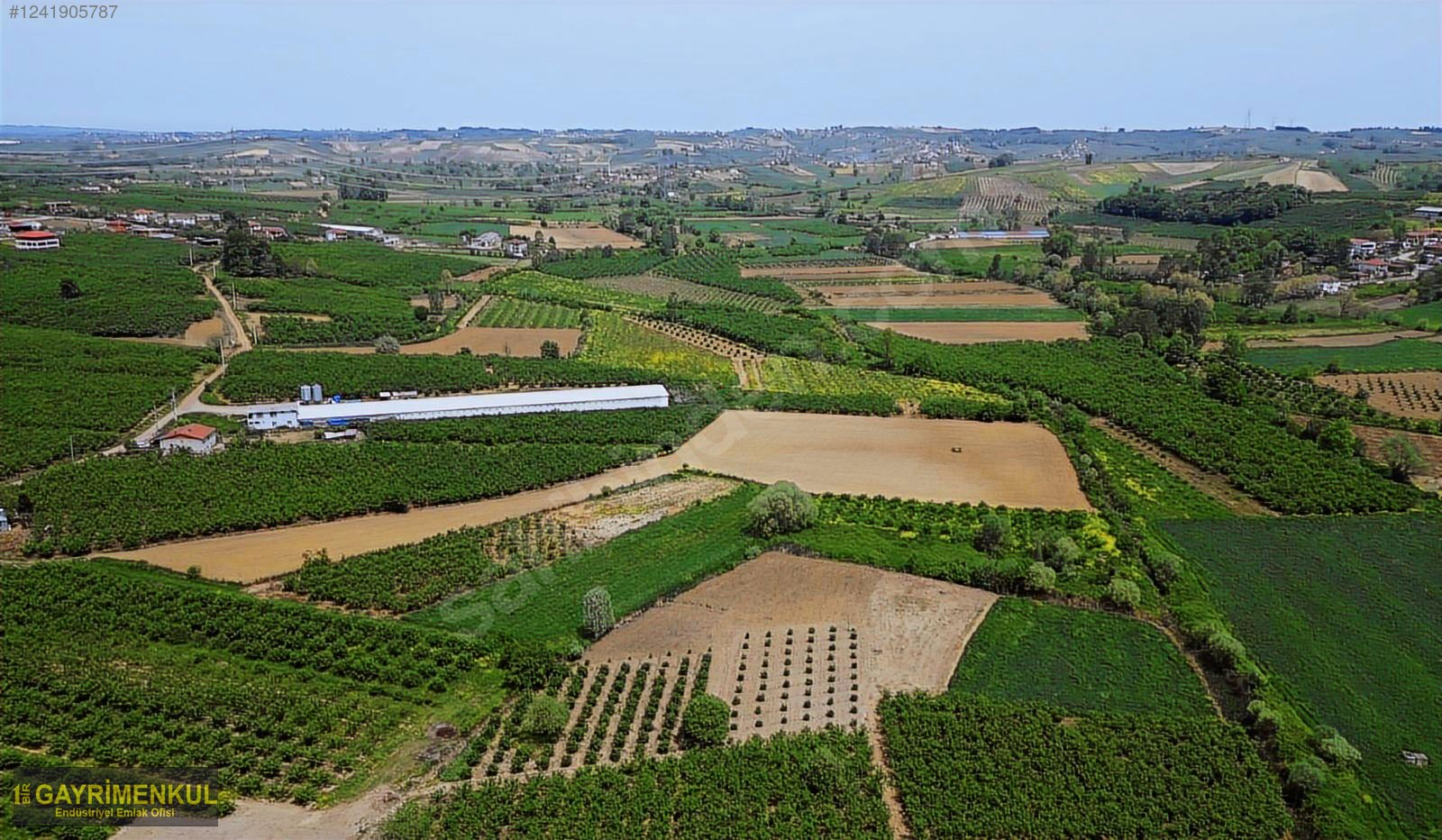 11.752 M² FIRSAT FINDIK BAHÇESİ SAKARYA KAYNARCA ZİAHMET MAH. - SAKARYA KAYNARCA fotoğraf 48