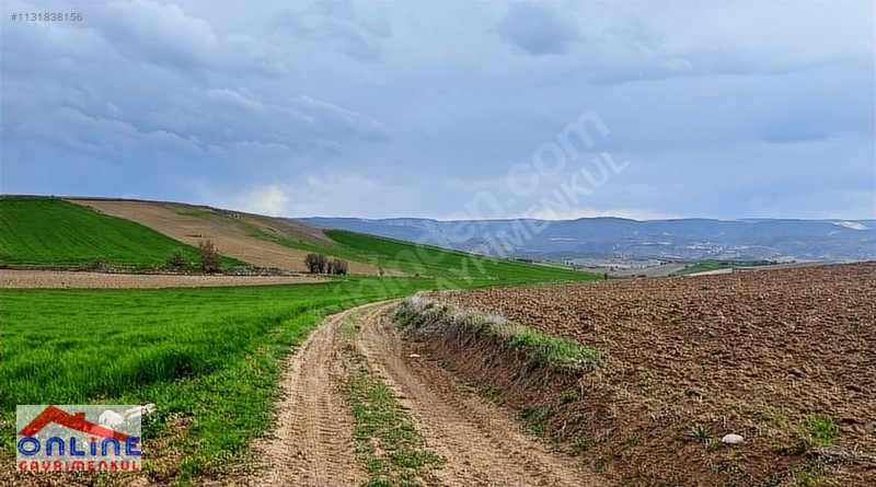 Araç Takaslı - BİLECİK YENİPAZAR fotoğraf 15