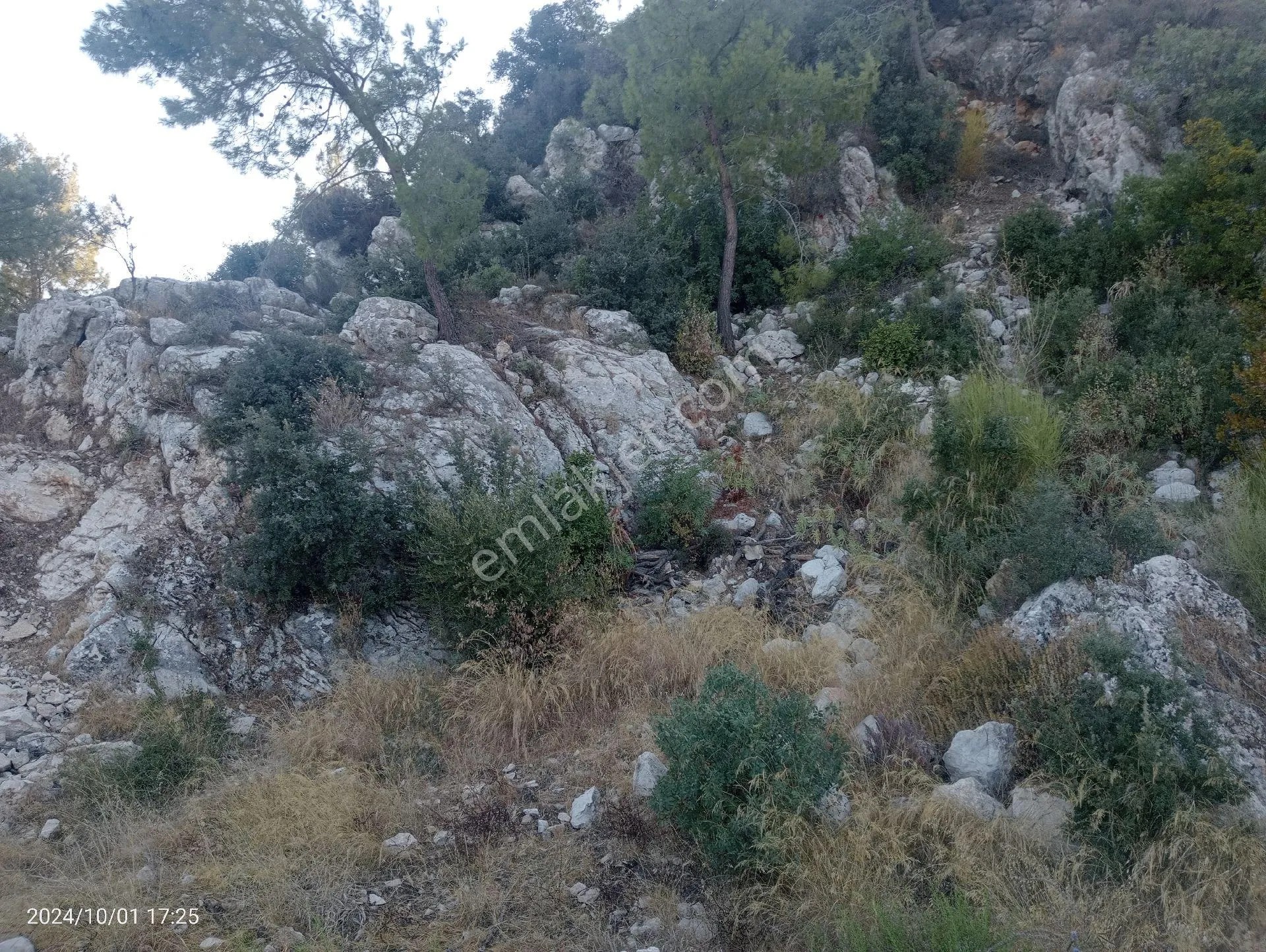 Antalya Kumluca Mavikent'te Satılık Tarla İnceoğlu Emlak - ANTALYA KUMLUCA fotoğraf 19