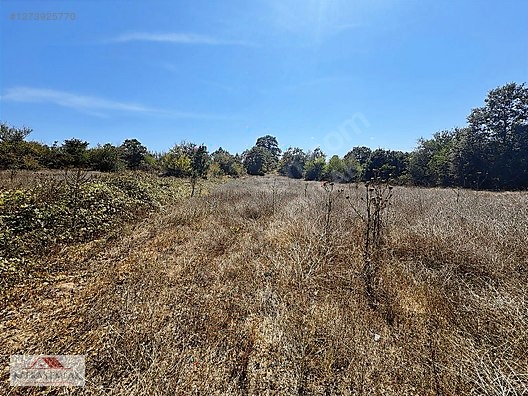 MUSTAFAKEMALPAŞA SOĞUCAK 7.055 M2 ARAZİ - BURSA MUSTAFAKEMALPAŞA fotoğraf 2