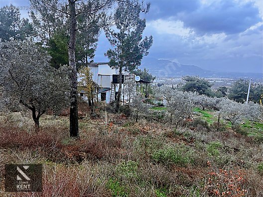 Kemalpaşa Armutlu Hürriyet Mah. Satılık 1.950 m2 Bahçe - İZMİR KEMALPAŞA fotoğraf 25