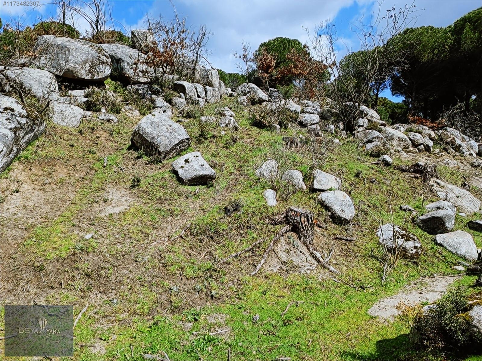 BEYAZYAKA'DAN BERGAMA HACIHAMZALAR MAH. SATILIK ARAZİ - İZMİR BERGAMA fotoğraf 3