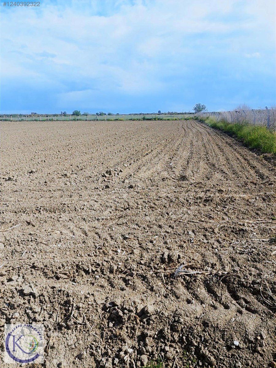 TARSUS MAHMUTAĞA KÖYÜ'NDE SATILIK 8.500 m TARLA - MERSİN TARSUS fotoğraf 9