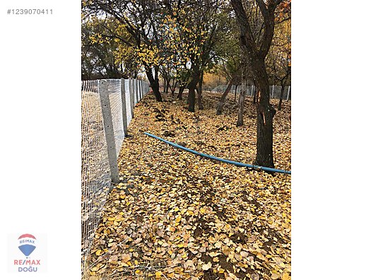 REMAX DOĞUDAN GÖZPINARI KÖYÜ 942 M2 HAZIR KURULU BAHÇE - ELAZIĞ MERKEZ fotoğraf 5