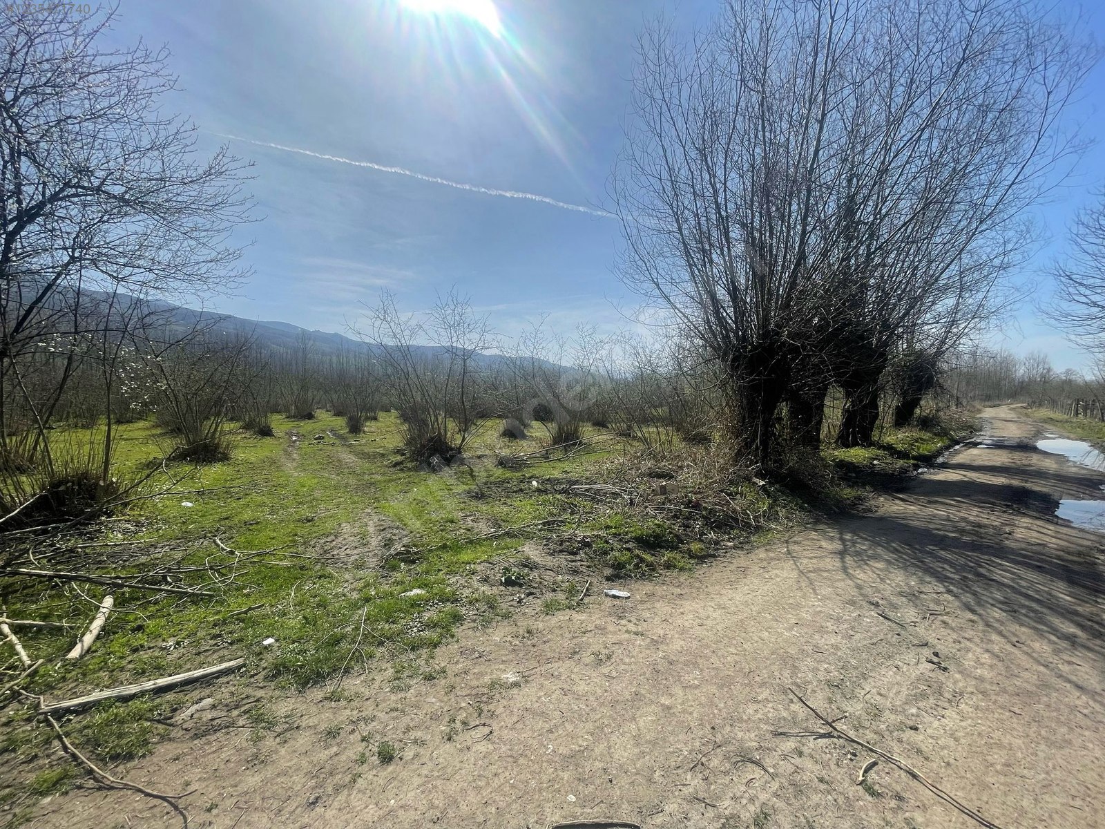 SAKARYA HENDEK ÇAMLICA MAH.( A.ÇARIĞKURU) 11.121 M²  TARLA  SATILIKTIR. - SAKARYA HENDEK fotoğraf 7