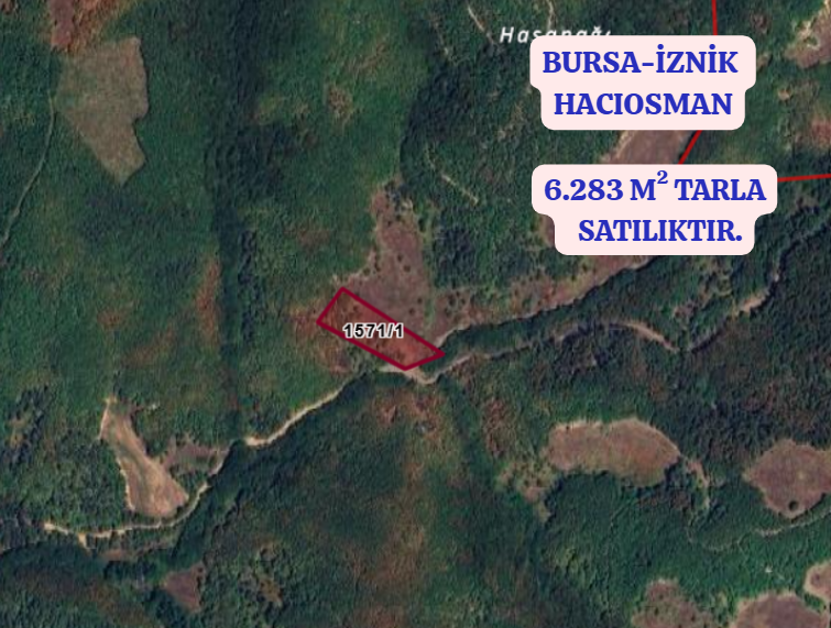 BURSA İZNİK HACIOSMAN KÖYÜNDE 6.283 M² TARLA SATILIKTIR - BURSA İZNİK fotoğraf 2