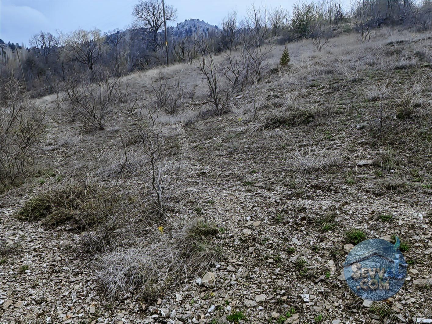 ASYA EVİM EMLAKTAN AĞLASUN YEŞİLBAŞKÖY DE SATILIK TARLA - Burdur Ağlasun fotoğraf 6