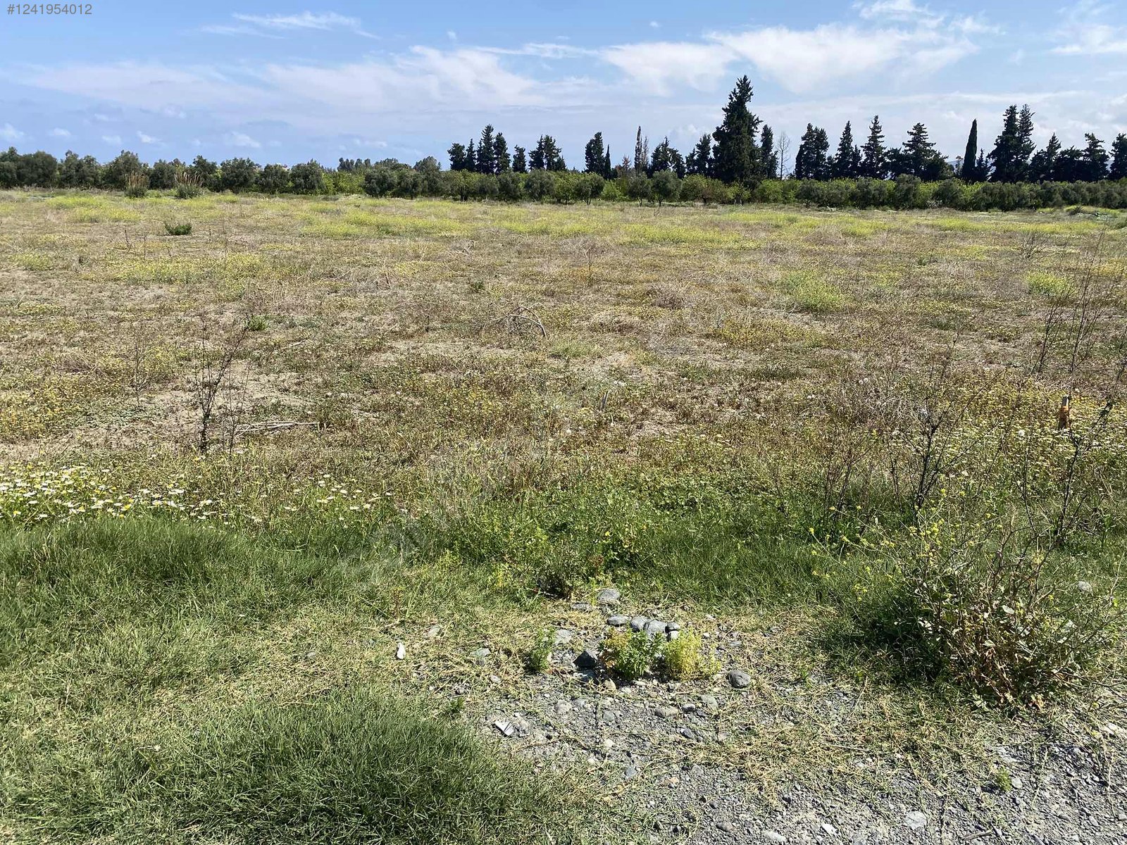 SATILIK Arsuz yolu üzeri muhteşem mevkii 660 M²  Hatay / Arsuz / Gülcihan Mh. - HATAY ARSUZ fotoğraf 7