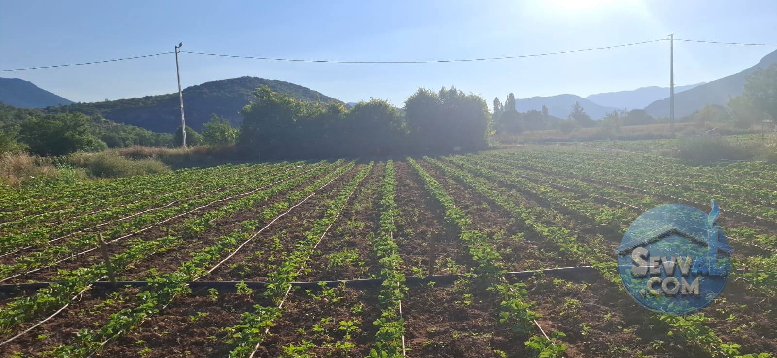 AĞLASUN ÇANAKLI KÖYÜNDE YATIRIMA UYGUN FIRSAT ARAZİ - BURDUR AĞLASUN fotoğraf 6