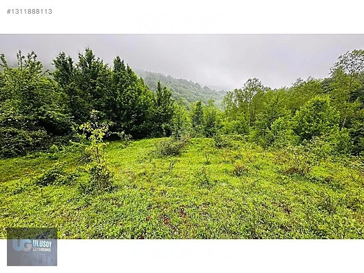 14 DÖNÜM TEK TAPU - BARTIN MERKEZ fotoğraf 15