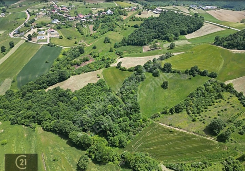 Sahibinden Satılık 7.488m2 %5 İmarlı Arazi - KOCAELİ DERİNCE fotoğraf 6