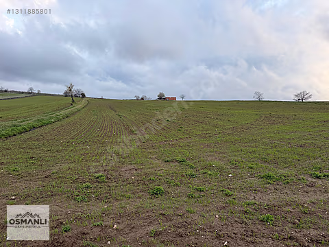 ELEKTRİĞİ VE YOLU ÖNÜNDE,ARKASI ORMAN,16 DÖNÜM %5 İMARLI ARAZİ - BİLECİK SÖĞÜT fotoğraf 5