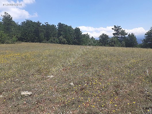BURSA KELEŞ YUNUSLAR 6.251  M² TARLA SATILIKTIR. - BURSA KELES fotoğraf 5