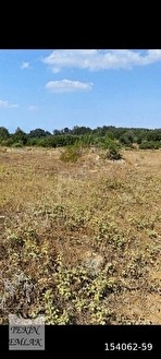 TEKİN EMLAKTAN BİLECİK OSMAELİNDE SATILIK TARLA - BİLECİK OSMANELİ fotoğraf 8