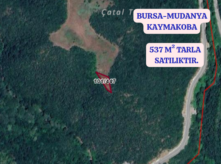 BURSA MUDANYA KAYMAKOBA KÖYÜNDE 537 M TARLA SATILIKTIR - BURSA MUDANYA fotoğraf 2