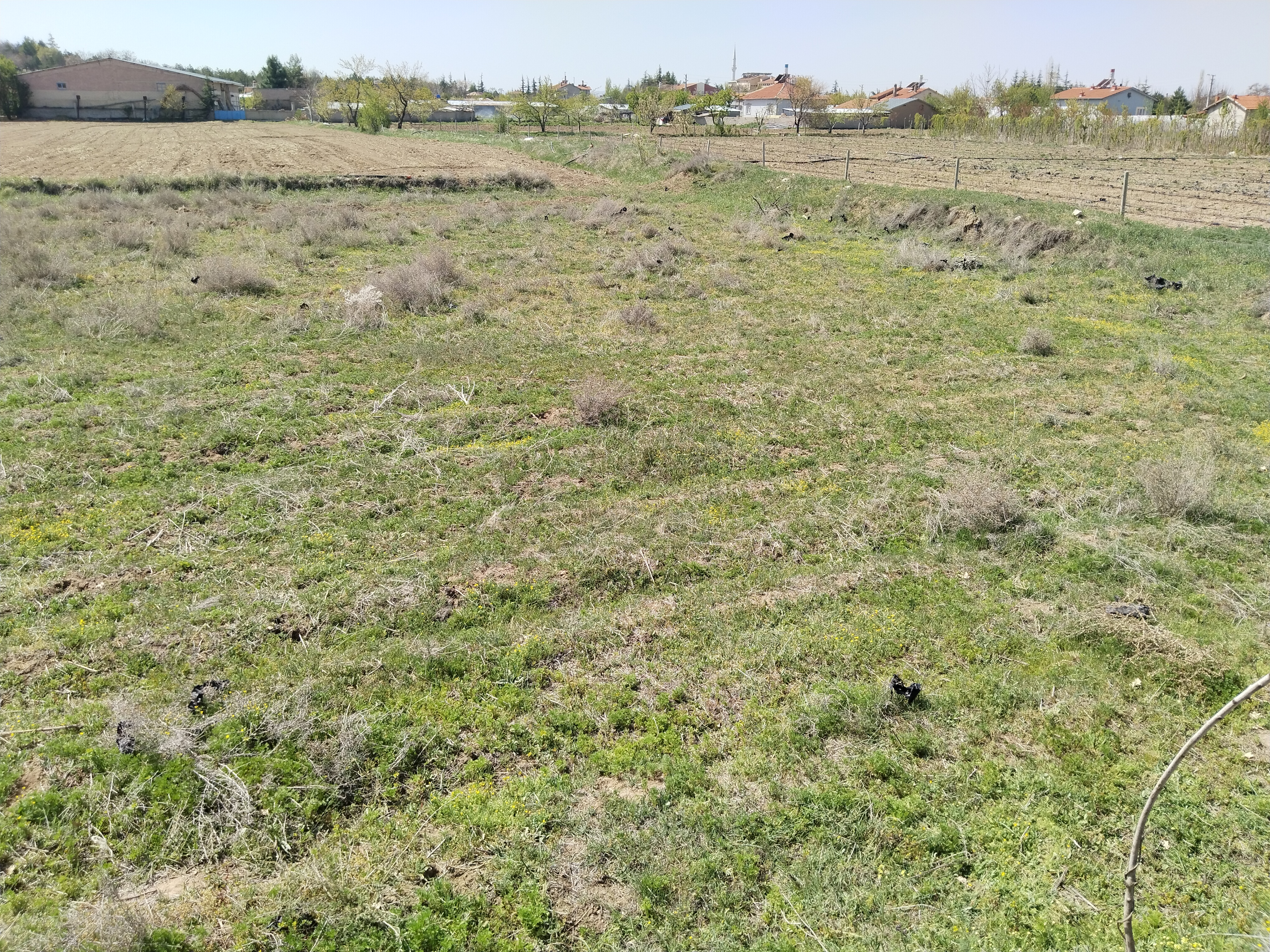 KONYA ÇUMRA ALİBEYHÜYÜĞÜ  KÖYÜNDE  272  M² BAĞ SATILIKTIR - KONYA ÇUMRA fotoğraf 10