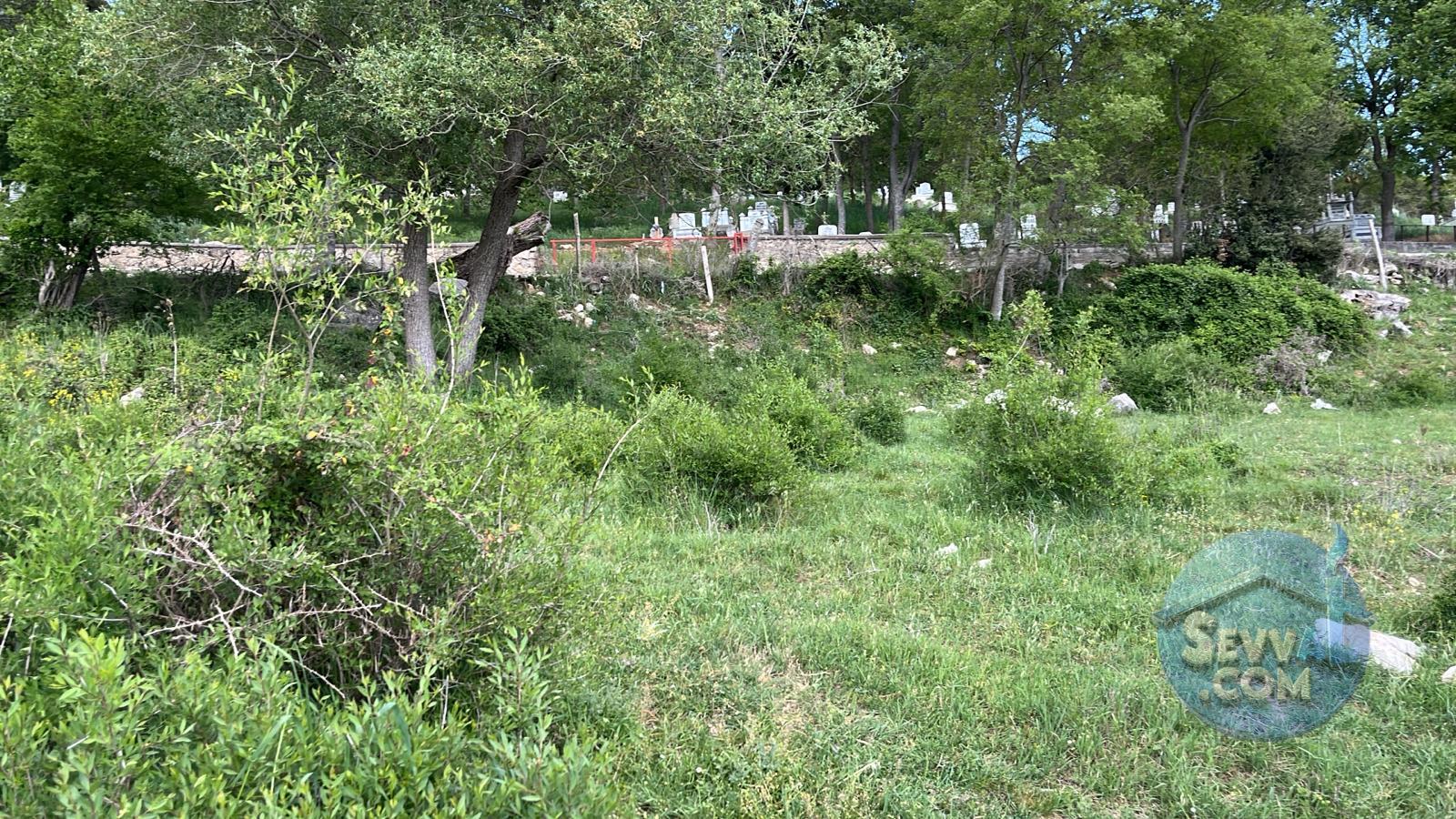 AĞLASUN YAZIR KÖYÜNDE FIRSAT ARAZİ - BURDUR AĞLASUN fotoğraf 14