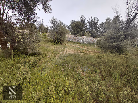 Kemalpaşa Yenmiş'de Satılık Bahçe 406 m2 - İZMİR KEMALPAŞA fotoğraf 18