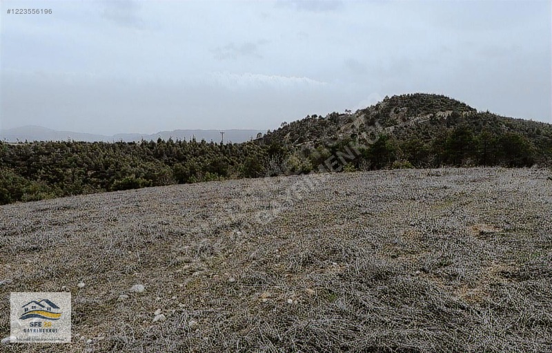 BOZKURT ALİ KURT'TA 10 DÖNÜM SATILIK ARAZİ - DENİZLİ BOZKURT fotoğraf 5