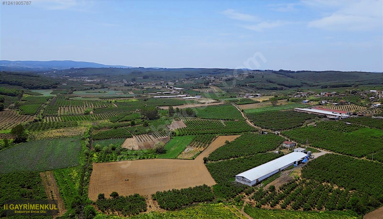 11.752 M² FIRSAT FINDIK BAHÇESİ SAKARYA KAYNARCA ZİAHMET MAH. - SAKARYA KAYNARCA fotoğraf 21