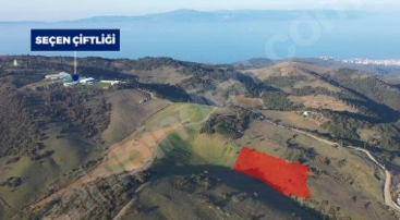 BURSA MUDANYA ÇEPNİ  KÖYÜNDE 7.362 M²  TARLA SATILIKTIR - BURSA MUDANYA fotoğraf 7