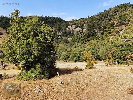 konyaaltı Doyranda 629m tapulu arsa - ANTALYA KONYAALTI fotoğraf 10