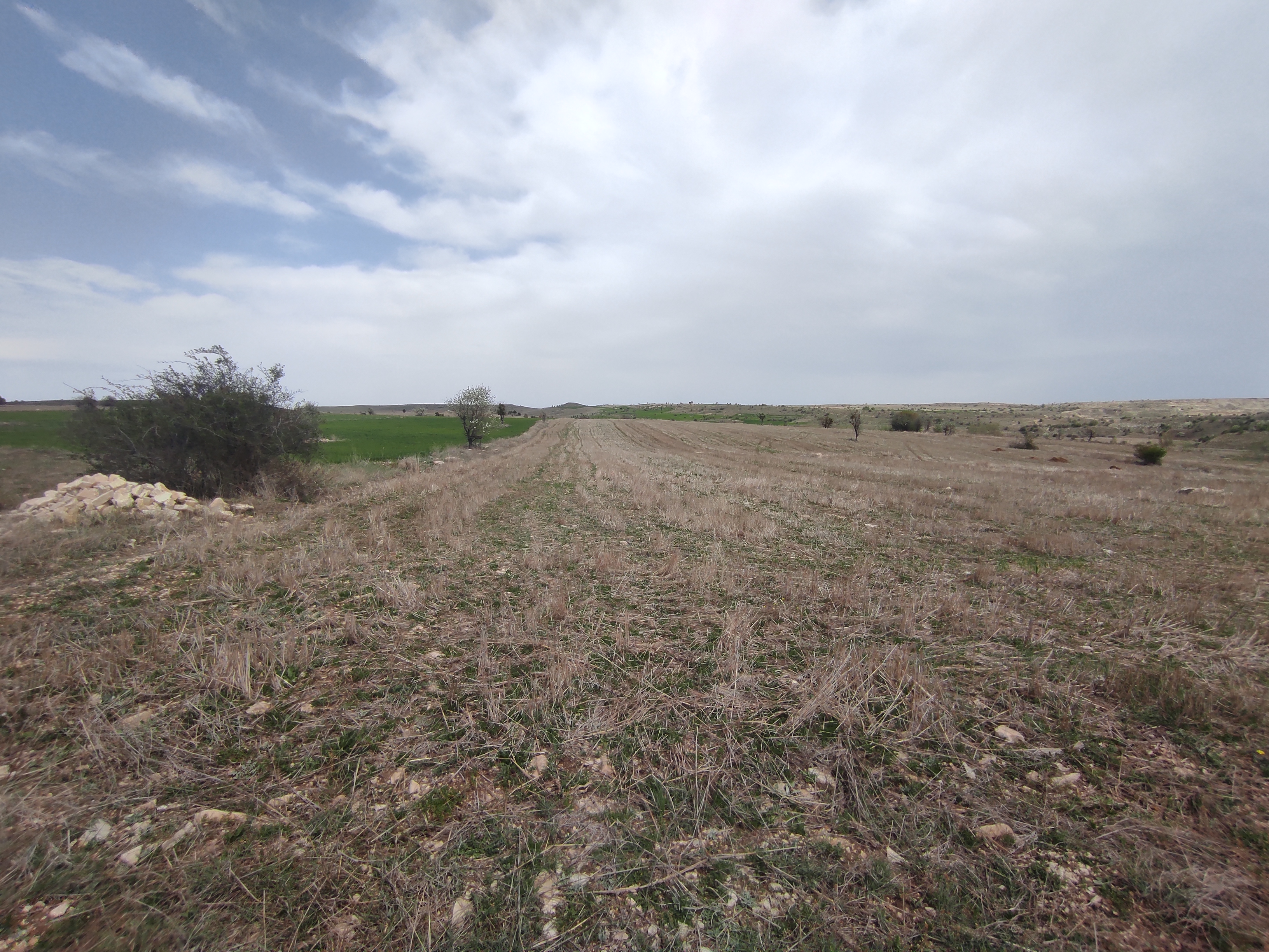 KÜTAHYA MERKEZ KÜKÜRT   KÖYÜNDE 3.353  M²  TARLA  SATILIKTIR - KÜTAHYA MERKEZ fotoğraf 16