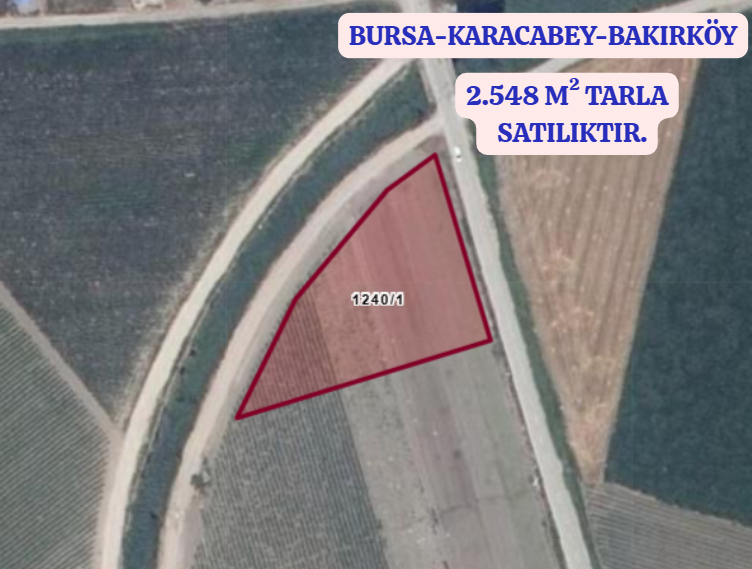BURSA KARACABEY BAKIRKÖY KÖYÜNDE 2.548 M² TARLA SATILIKTIR - BURSA KARACABEY fotoğraf 2