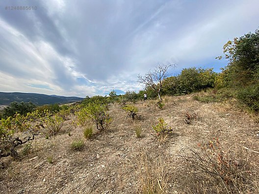 BURSA İZNİK TACİR MAHALLESİ'NDE 3.400 M² TARLAMIZ SATILIKTIR - BURSA İZNİK fotoğraf 11