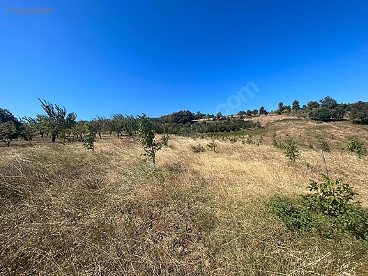 BURSA İZNİK TACİR KÖYÜNDE 13.056 M TARLA SATILIKTIR - BURSA İZNİK fotoğraf 18