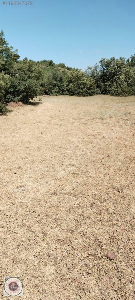 Kütahya merkez kozluca köyü nde satılık tarla - KÜTAHYA MERKEZ fotoğraf 12