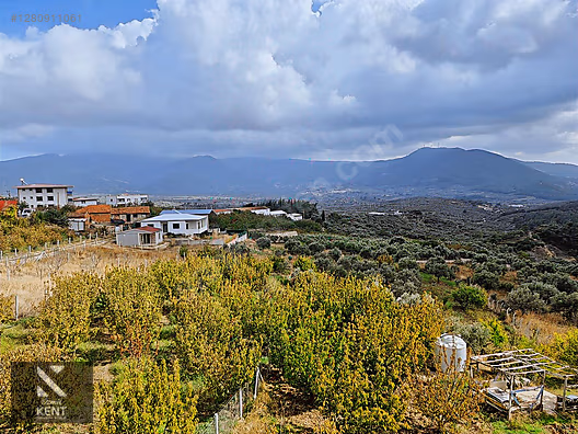 Kemalpaşa Vişneli Satılık 2920 m2 Dubleks Konut Ve Arsa - İZMİR KEMALPAŞA fotoğraf 35