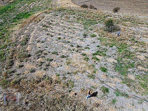 UĞURLU EMLAKTAN SATILIK HOBİ BAHÇESİ - ANKARA POLATLI fotoğraf 8