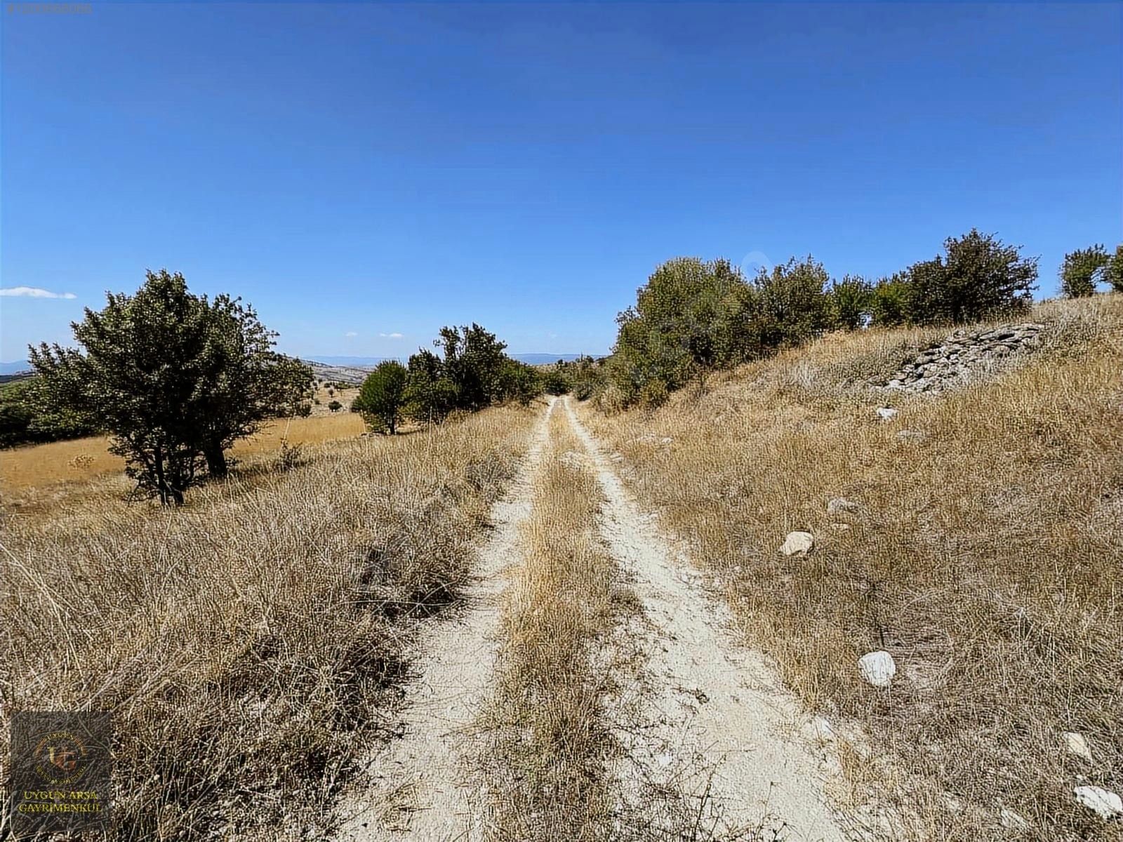 BOLU KIBRISCIK SARIKAYA'DA 8.370 M2 UYGUN ARSA - BOLU KIBRISCIK fotoğraf 14