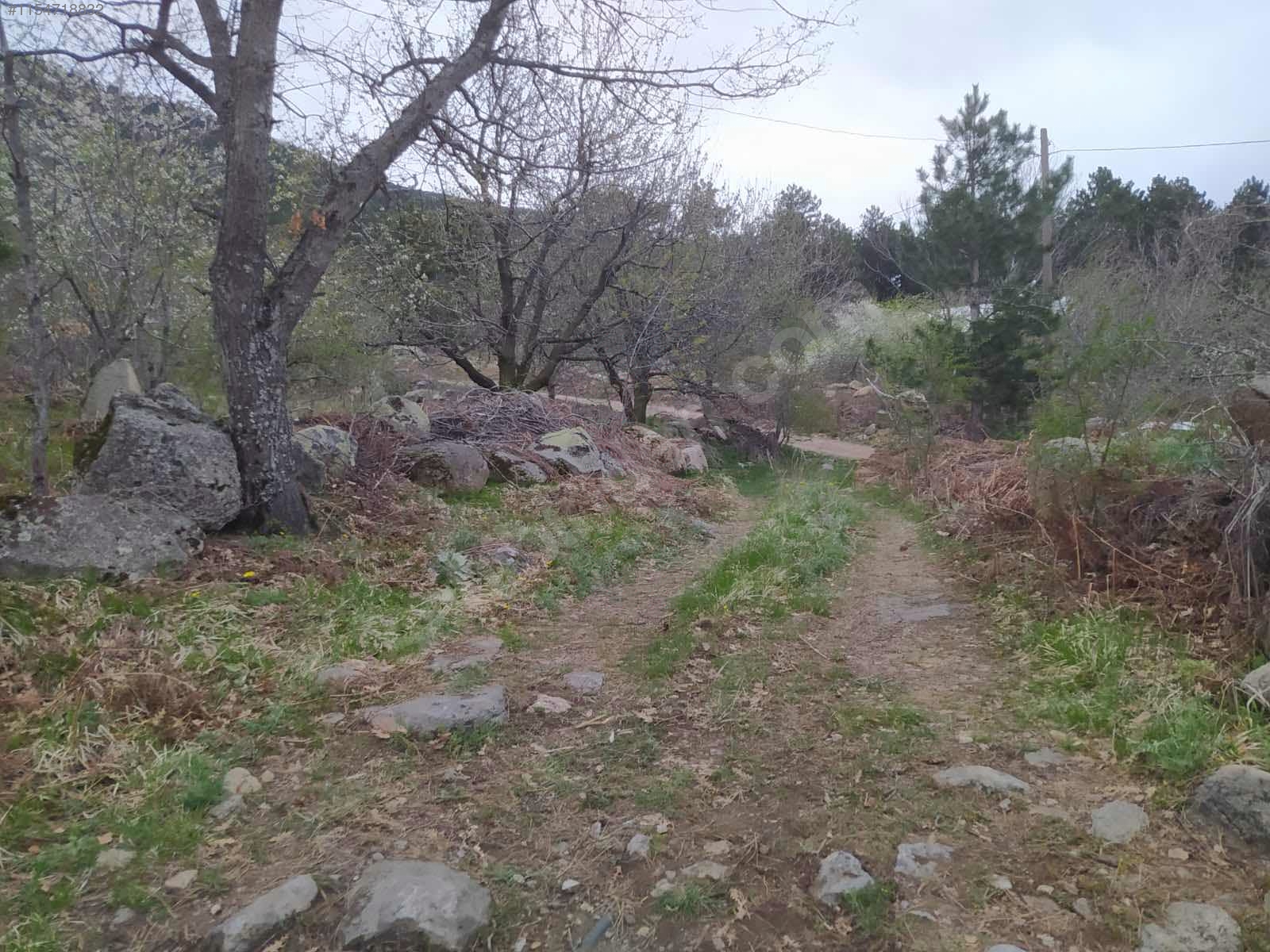 BURSA KELEŞ PINARCIK'TA 1.902 M²  BAHÇELİ KARGIR EV SATILIKTIR - BURSA KELES fotoğraf 19