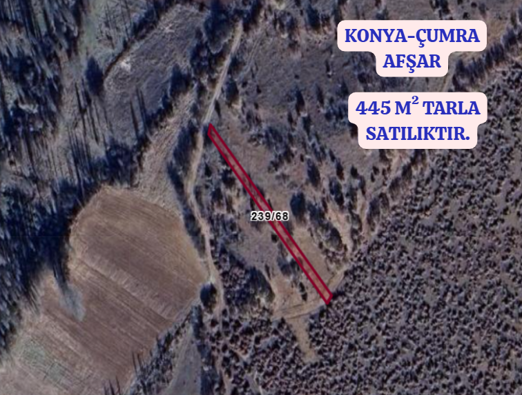 KONYA ÇUMRA AFŞAR   KÖYÜNDE  445  M²  TARLA  SATILIKTIR - KONYA ÇUMRA fotoğraf 2