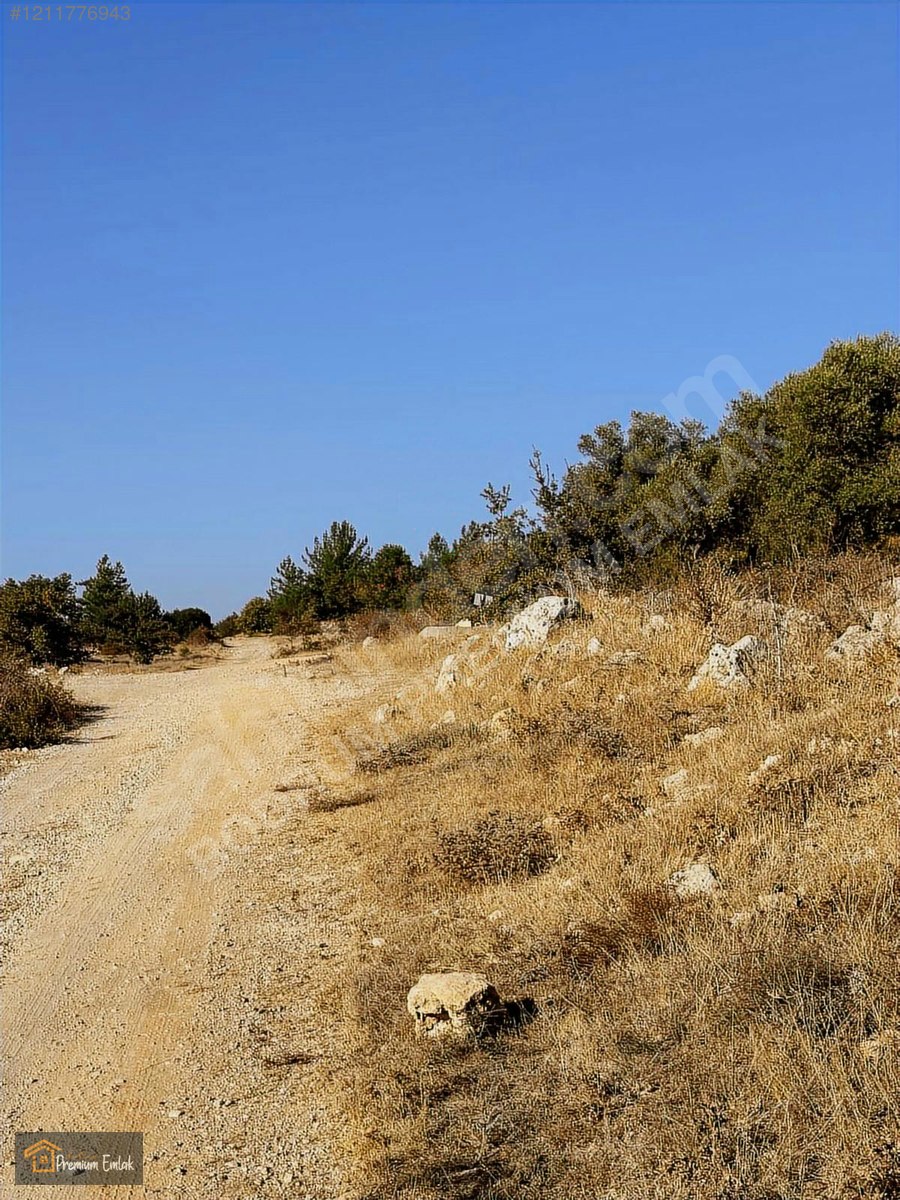 MİLAS KARACAHİSAR MAH.SU ELEKT YOLA SIFIR 10.754mt SATILIK TARLA - MUĞLA MİLAS fotoğraf 6