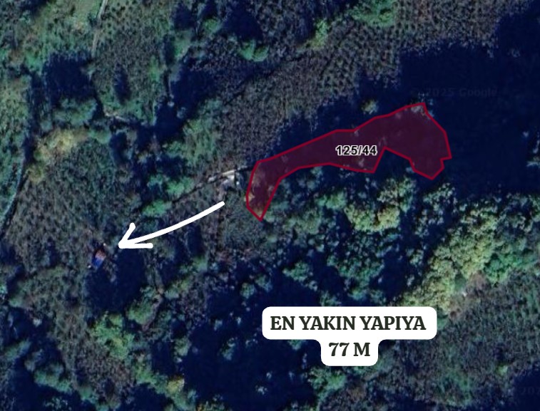 ZONGULDAK EREĞLİ SOFULAR KÖYÜ’NDE 2.245 M² BAĞMIZ SATILIKTIR - ZONGULDAK EREĞLİ fotoğraf 5