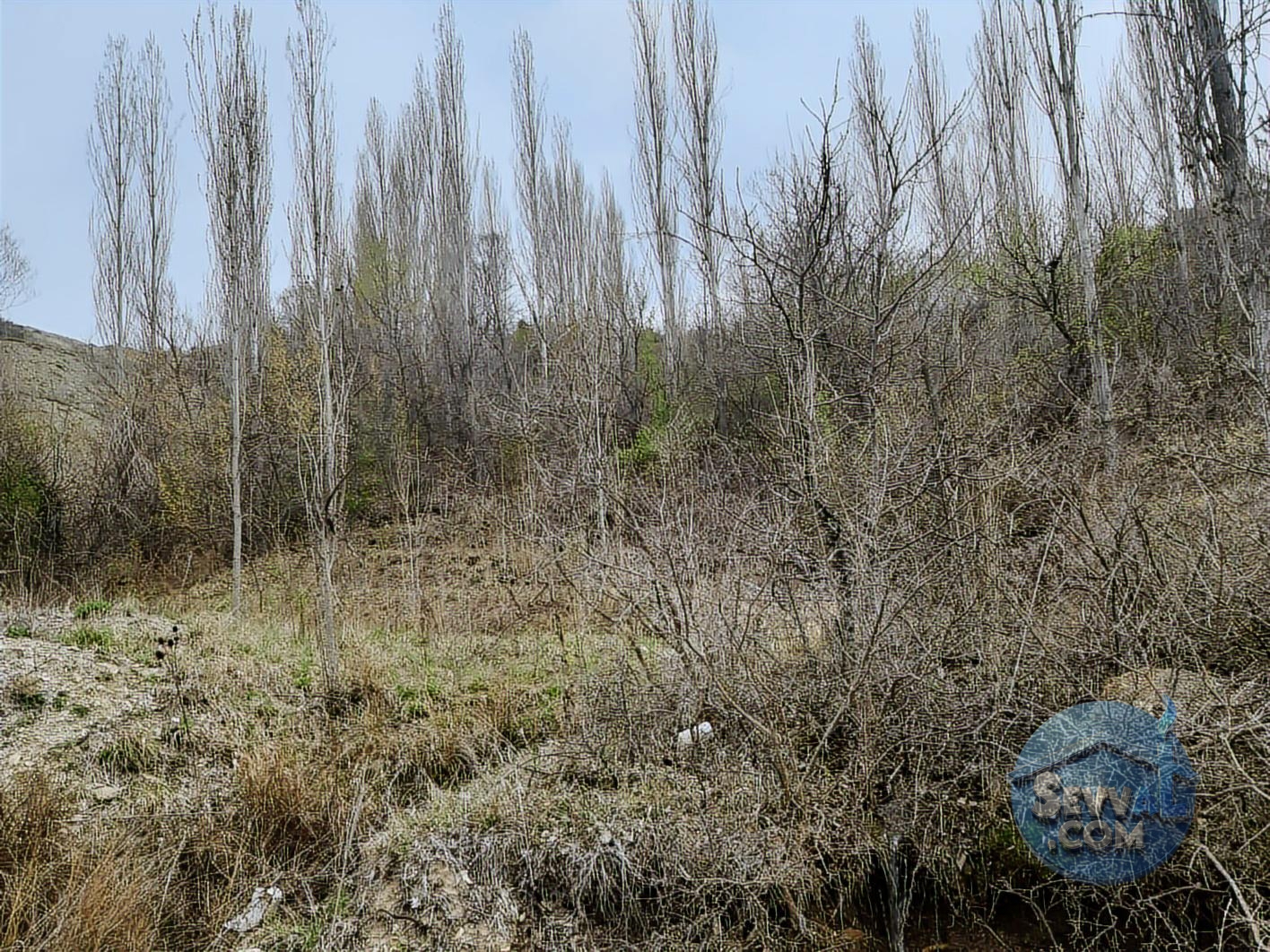 ASYA EVİM EMLAKTAN AĞLASUN YEŞİLBAŞKÖY DE SATILIK TARLA - Burdur Ağlasun fotoğraf 4