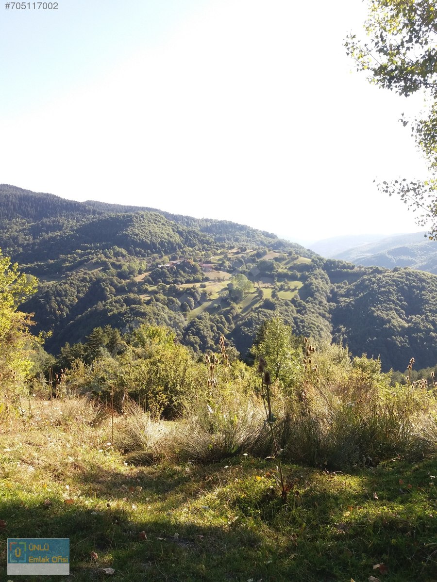 ÜNLÜ EMLAKTAN ILGAZ MANZARALI ORMAN İÇİNDE 50 DÖNÜM CAZİP ARAZİ - KASTAMONU MERKEZ fotoğraf 24