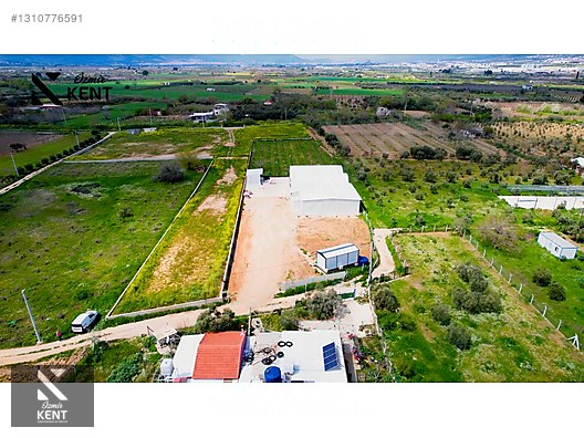 Kemalpaşa Satılık Mantar Üretim Tesisi 500 m2 - İZMİR KEMALPAŞA fotoğraf 36