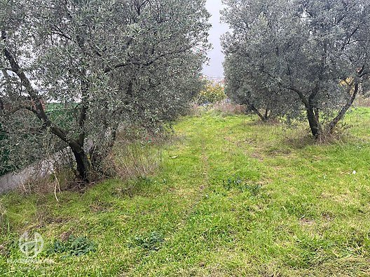 BÖLGE UZMANI HAS EMLAK DENİZ MANZARALI FIRSAT HOBİ BAHÇESİ - BURSA MUDANYA fotoğraf 41
