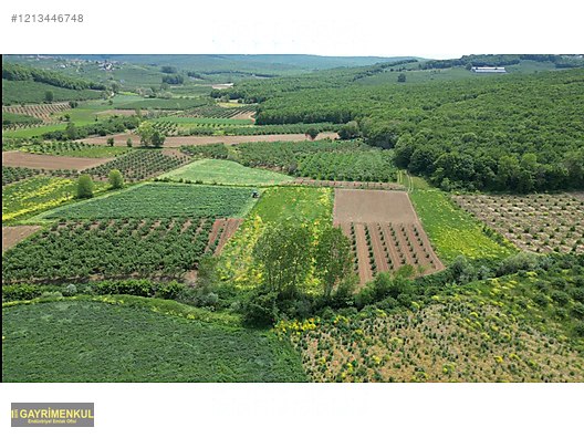 YATIRIM FIRSATI 3.962 M² TARLA FERİZLİ SARIAHMETLER MAH. - SAKARYA FERİZLİ fotoğraf 8