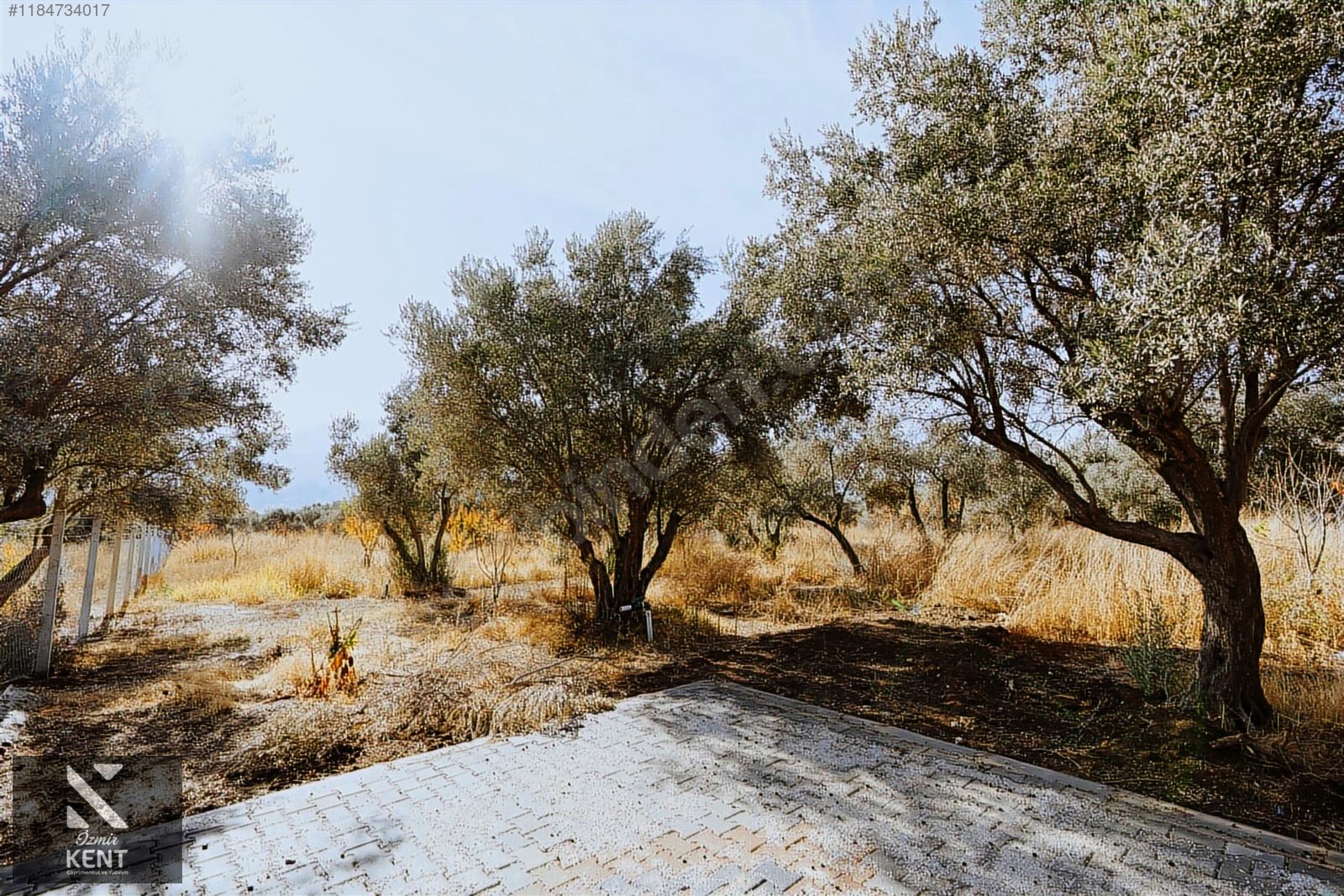 Kemalpaşa Sekiz Eylül Satılık 4.746 m2 Bahçe - İZMİR KEMALPAŞA fotoğraf 11