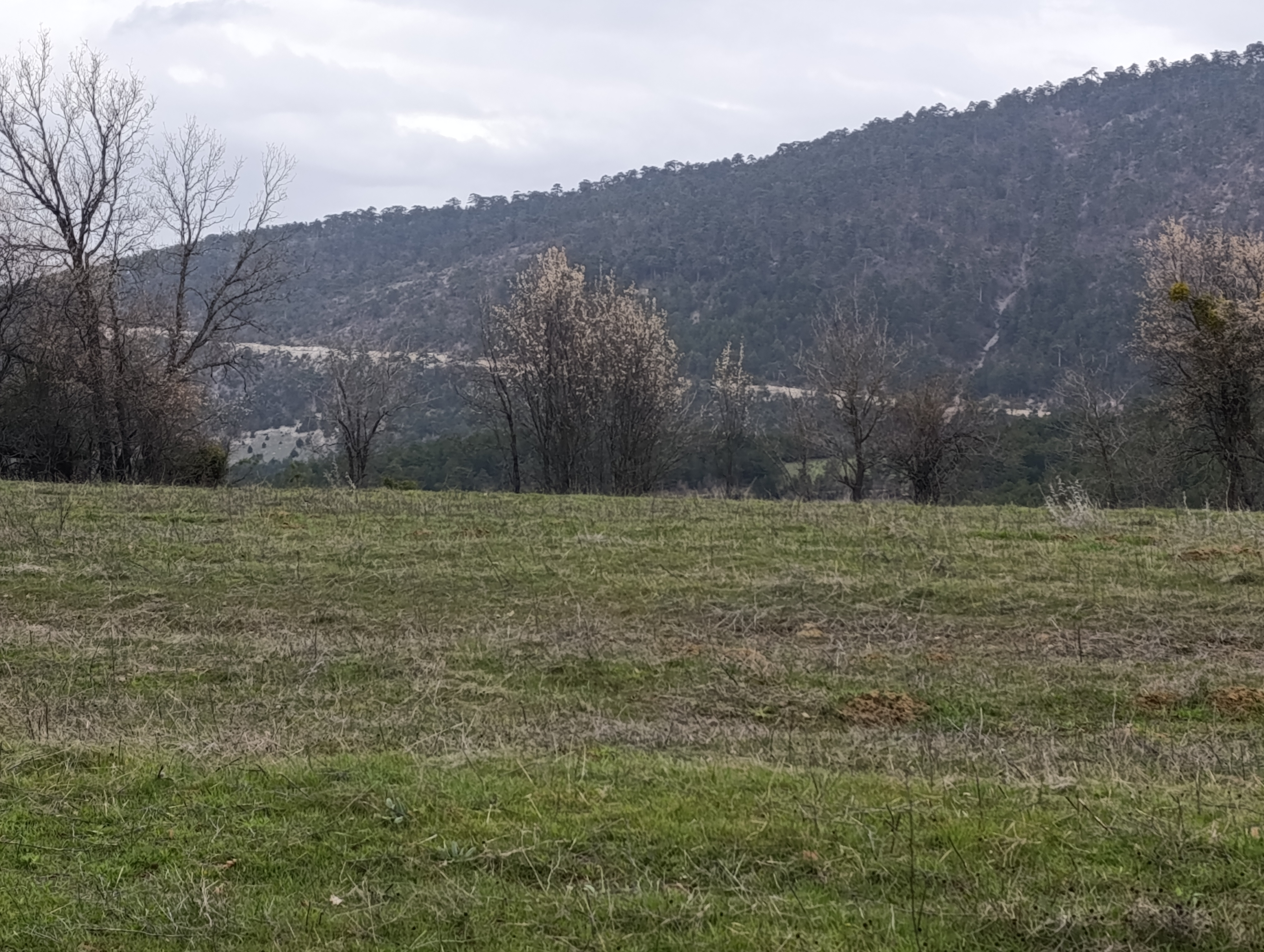 BOLU GÖYNÜK BOZCARMUT KÖYÜNDE KÜMES YERİ - BOLU GÖYNÜK fotoğraf 6