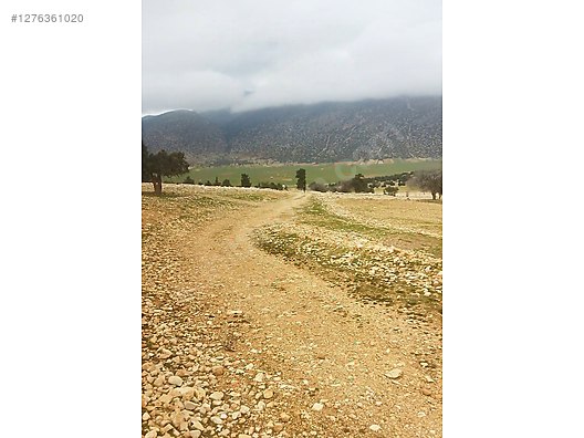ANTALYA KORKUTELİ BEĞİŞ   KÖYÜNDE 189  M² TARLA  SATILIKTIR - ANTALYA KORKUTELİ fotoğraf 8