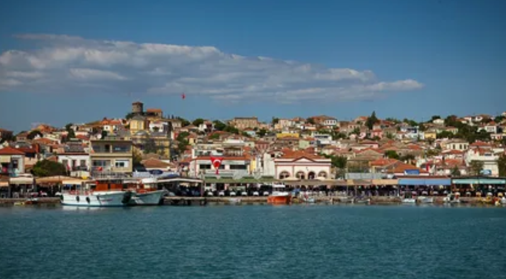 BALIKESİR BURHANİYE PELİTKÖY KÖYÜNDE 496 M² ZEYTİNLİK SATILIKTIR. - BALIKESİR BURHANİYE fotoğraf 7