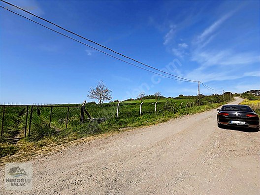 CİFTLİKKÖY 500 EVLER MAH.244 DÖNÜMDEN 12 DÖNÜM HİSSELİ TARLA - YALOVA ÇİFTLİKKÖY fotoğraf 2