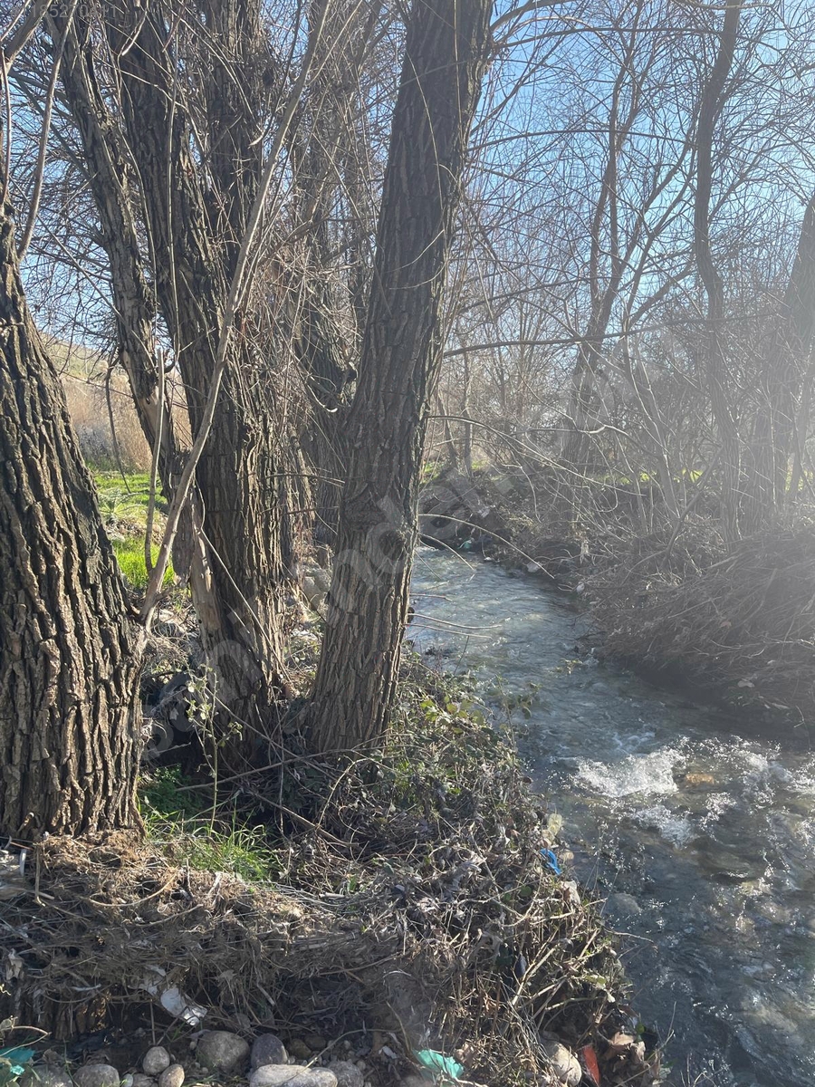 ADIYAMAN KAHTA SALKIMBAĞI KÖYÜNDE  2.150 M²  BAHÇE SATILIKTIR. - ADIYAMAN KAHTA fotoğraf 6
