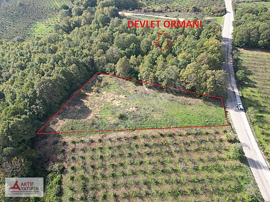 ÜNLÜ SARDALA KOYU'NA 8 DK MESAFEDE ASFALT CEPHELİ 2523 M2 TARLA - KOCAELİ KANDIRA fotoğraf 2